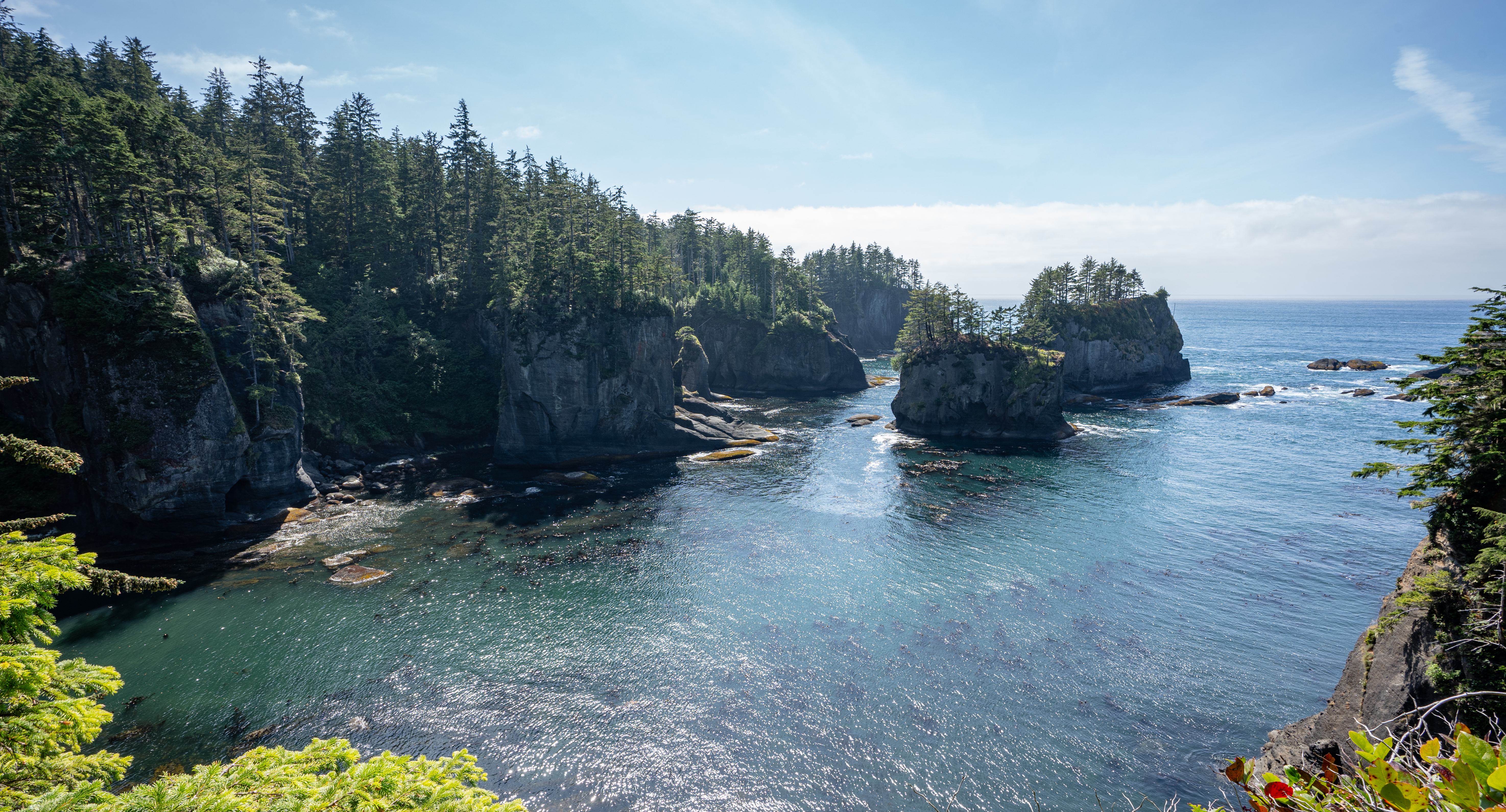 Tatoosh